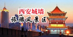 8x8x欧美拨插更快乐网站中国陕西-西安城墙旅游风景区